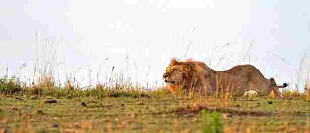 60 saniyede işini bitirdi